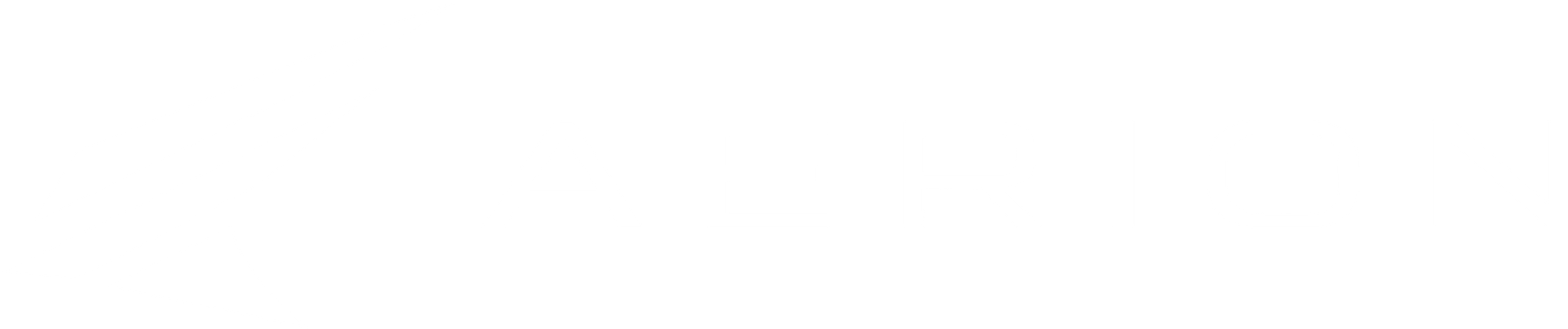 Aerion – Elevamos tu Identidad